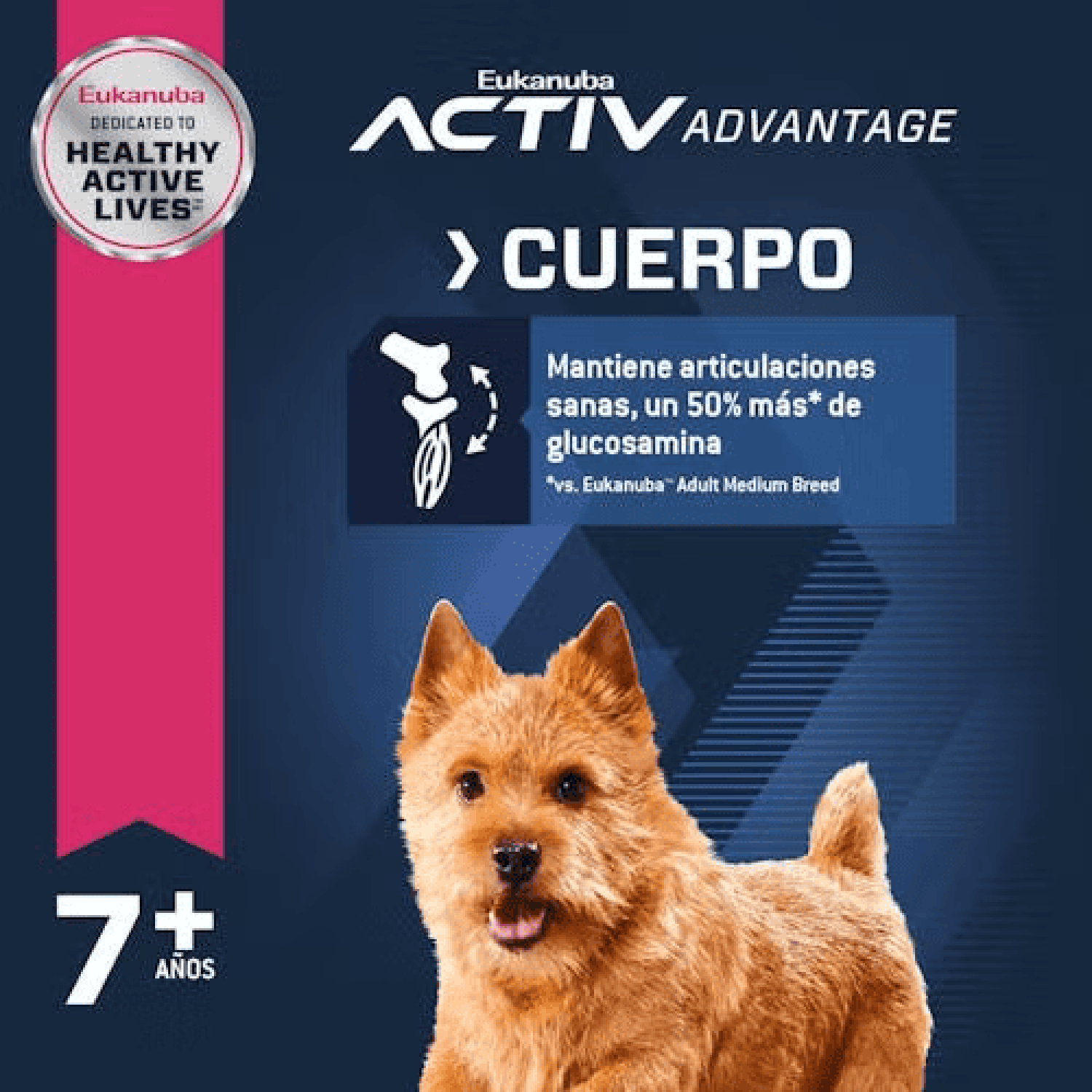 Eukanuba alimento para perro senior raza pequeña 2.04kg | G.Valkyria - imagen 3