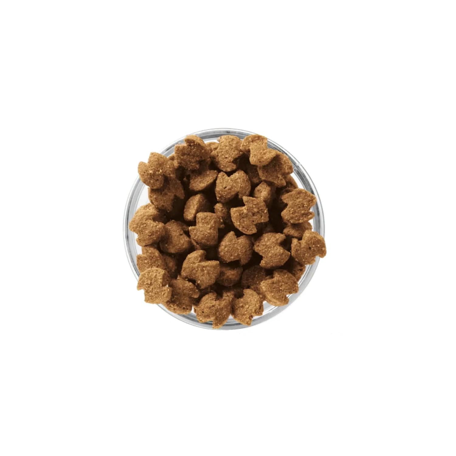 Eukanuba alimento para perros activos Adulto Raza Chica 2kg | G.Valkyria - imagen 3