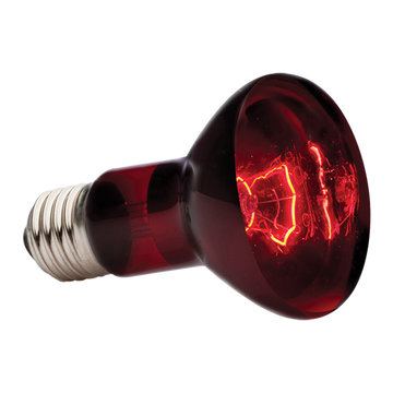 Exo Terra foco para terrario reptiles Infrarrojo Heat Glo 75w de Exo-Terra | G.Valkyria - imagen 1