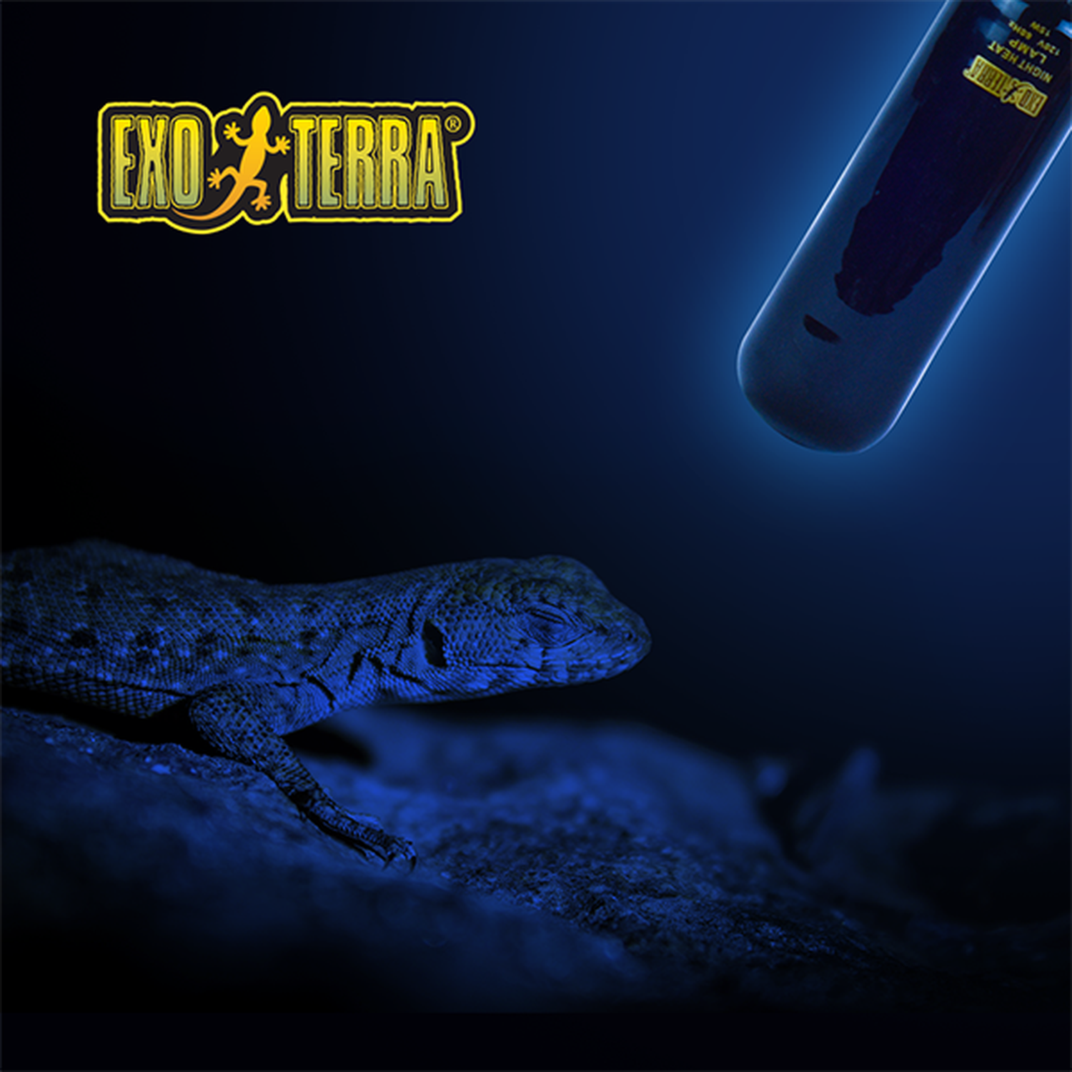 Exo Terra foco para terrario reptiles Night Glo Noche 15w de Exo-Terra | G.Valkyria - imagen 3