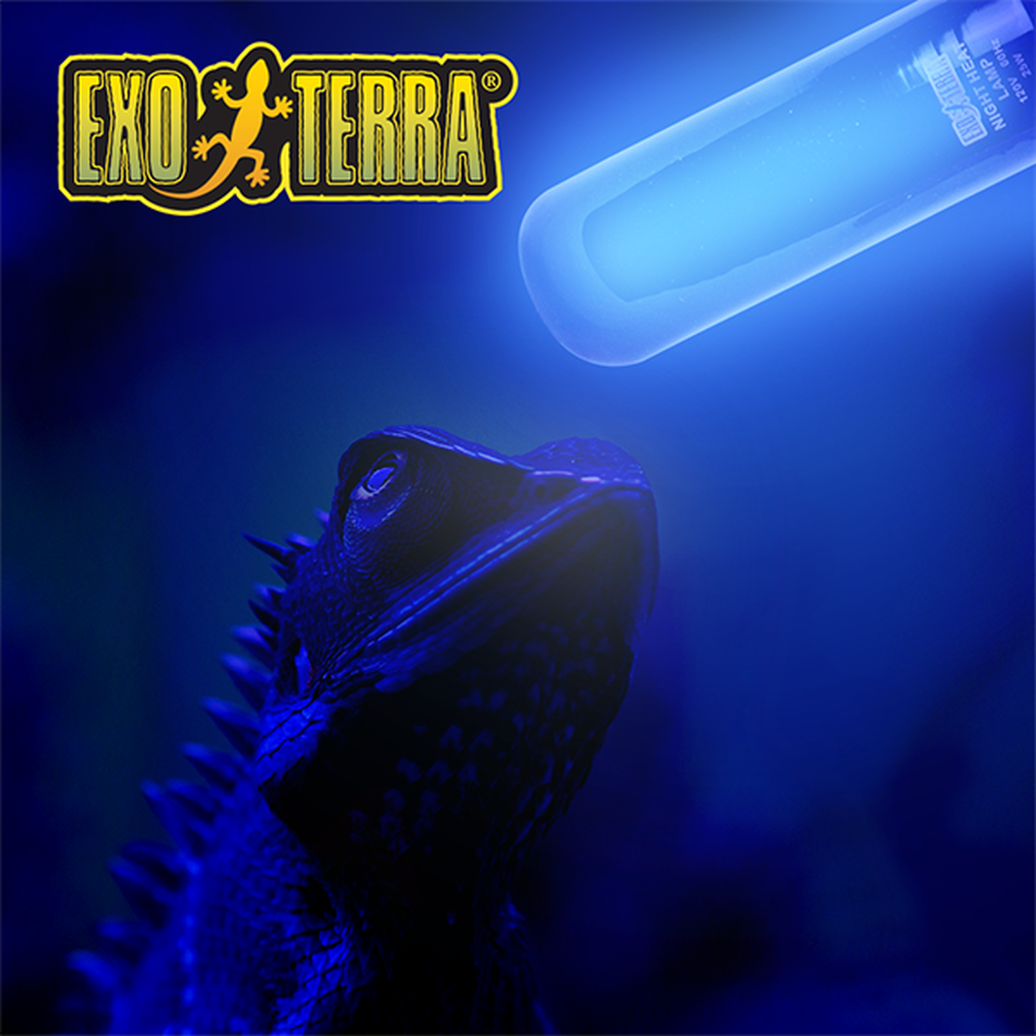Exo Terra foco para terrario reptiles Night Glo Noche 25w de Exo-Terra | G.Valkyria - imagen 3