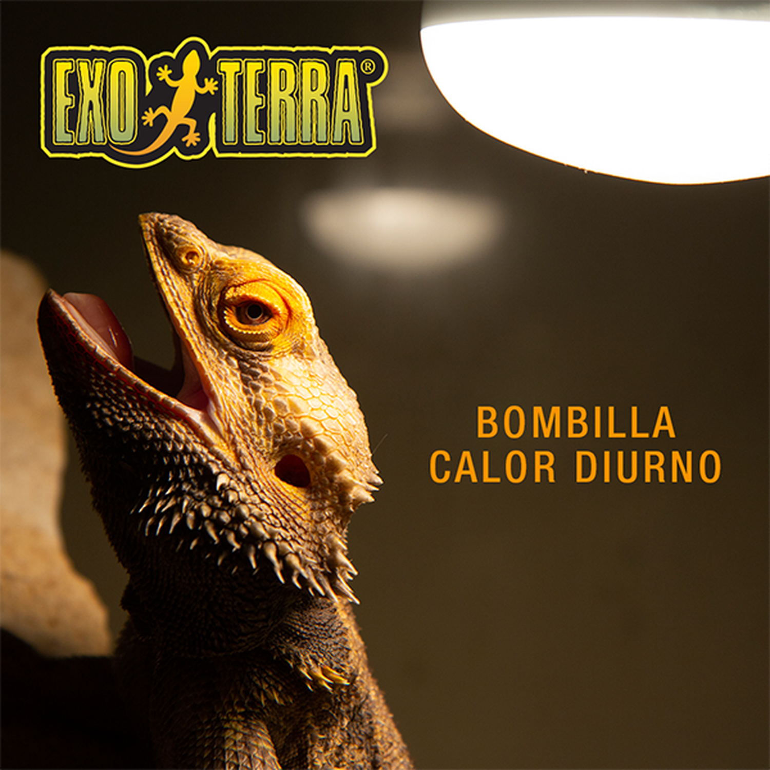 Exo Terra foco para terrario reptiles Sun Glo Day Time 150w de Exo-Terra | G.Valkyria - imagen 4