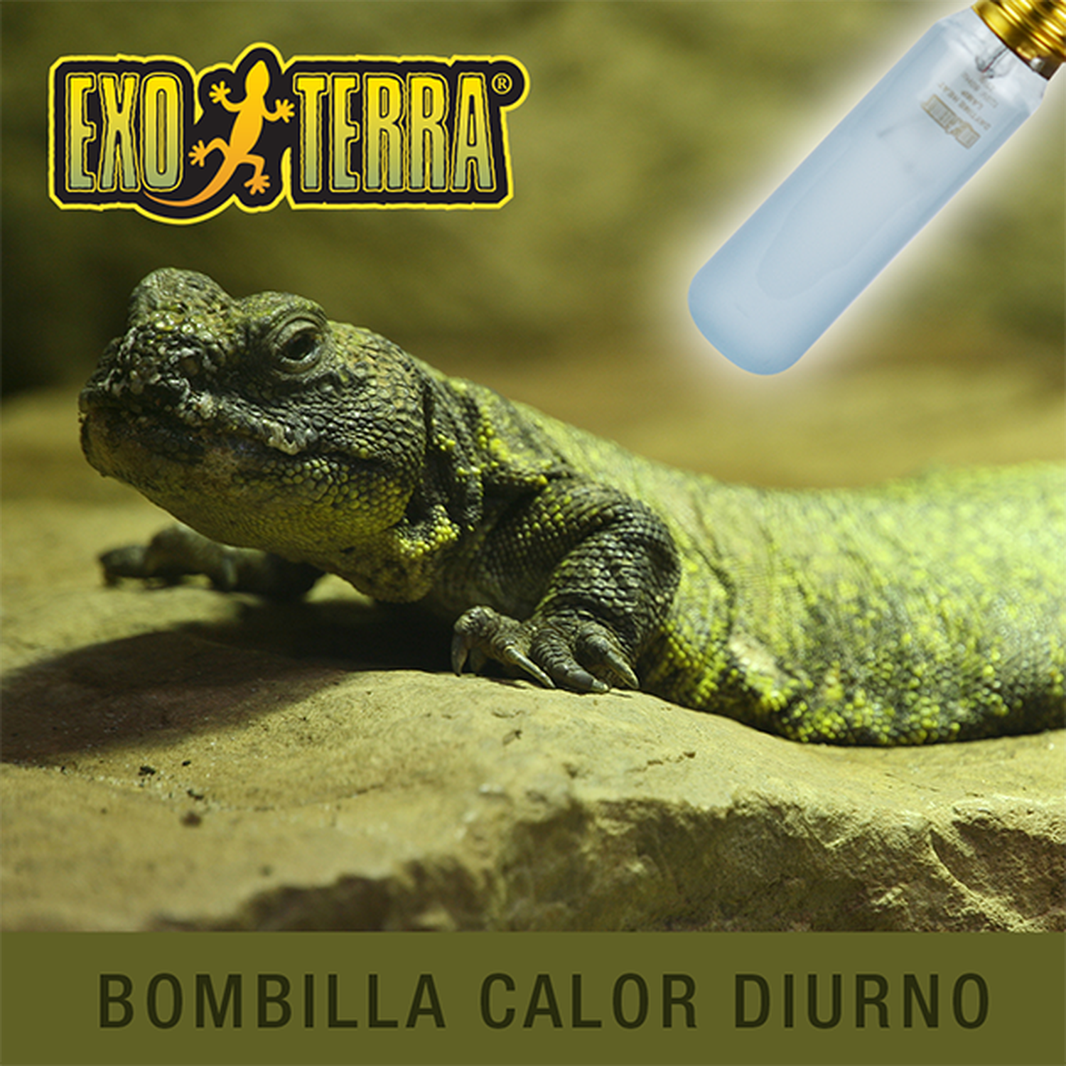 Exo Terra foco para terrario reptiles Sun Glo Day Time 25w de Exo-Terra | G.Valkyria - imagen 4