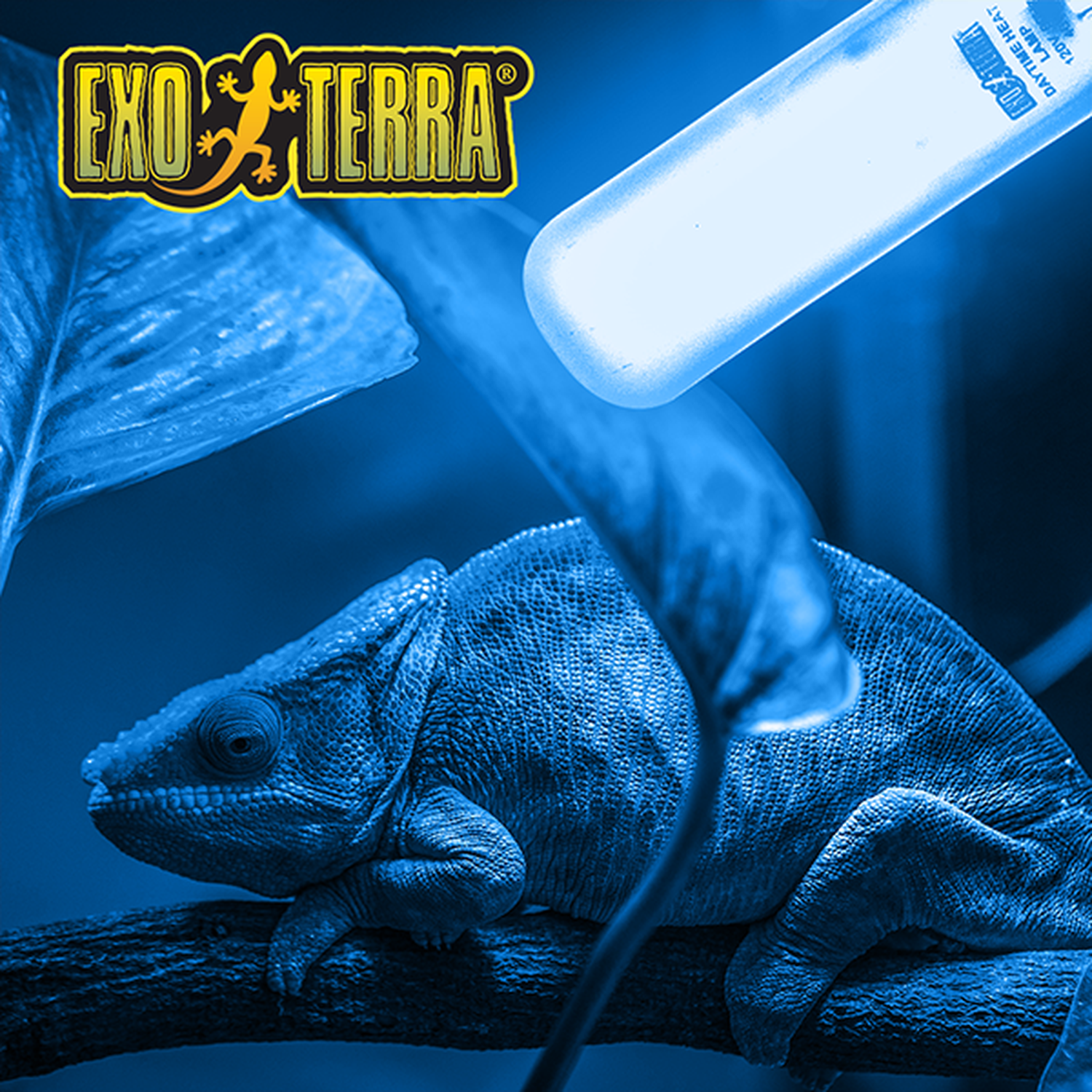 Exo Terra foco para terrario reptiles Sun Glo Day Time 40w de Exo-Terra | G.Valkyria - imagen 3