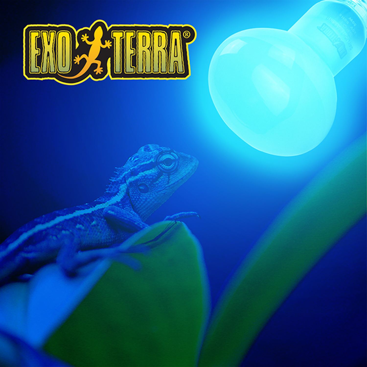 Exo Terra foco para terrario reptiles Sun Glo Neodymium 100w de Exo-Terra | G.Valkyria - imagen 3