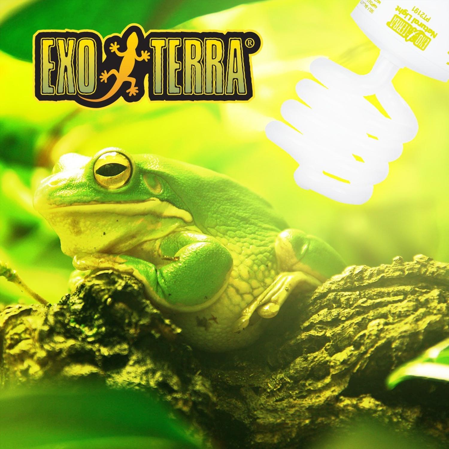 Exo-Terra foco Repti-Glo 2.0 26w boa piton rana UVB | G.Valkyria - imagen 5
