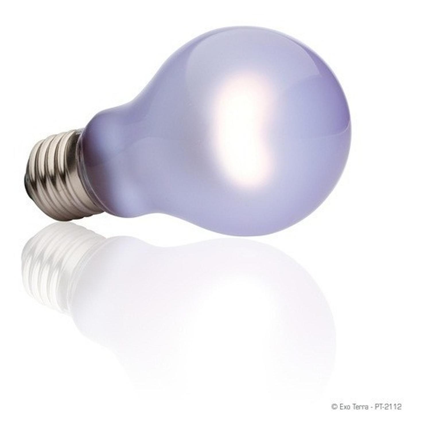 Exo-Terra foco Sun Glo 100w luz día pogona serpiente tortuga | G.Valkyria - imagen 2