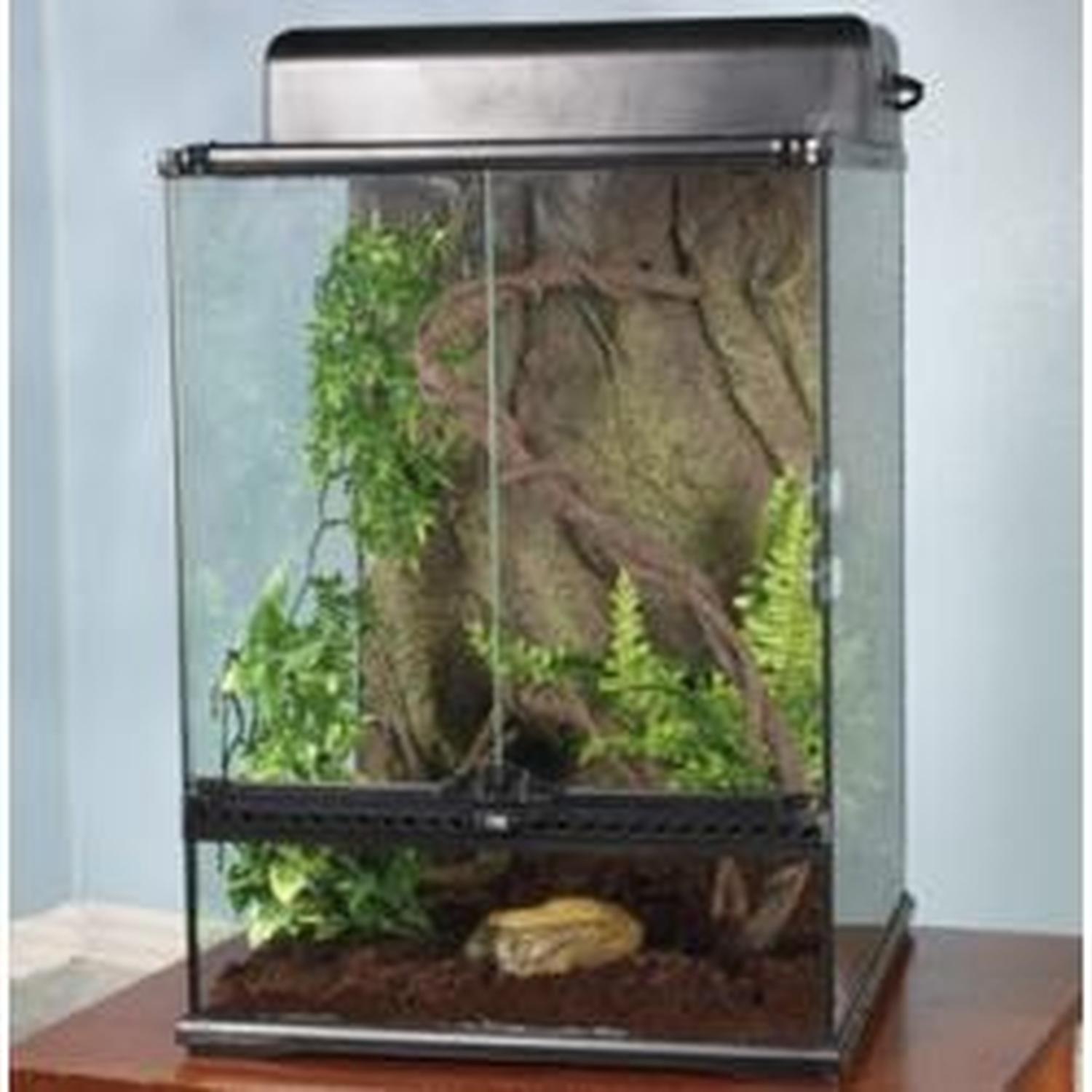 Exo-terra Terrario grande selvatico Anolis | G.Valkyria - imagen 2