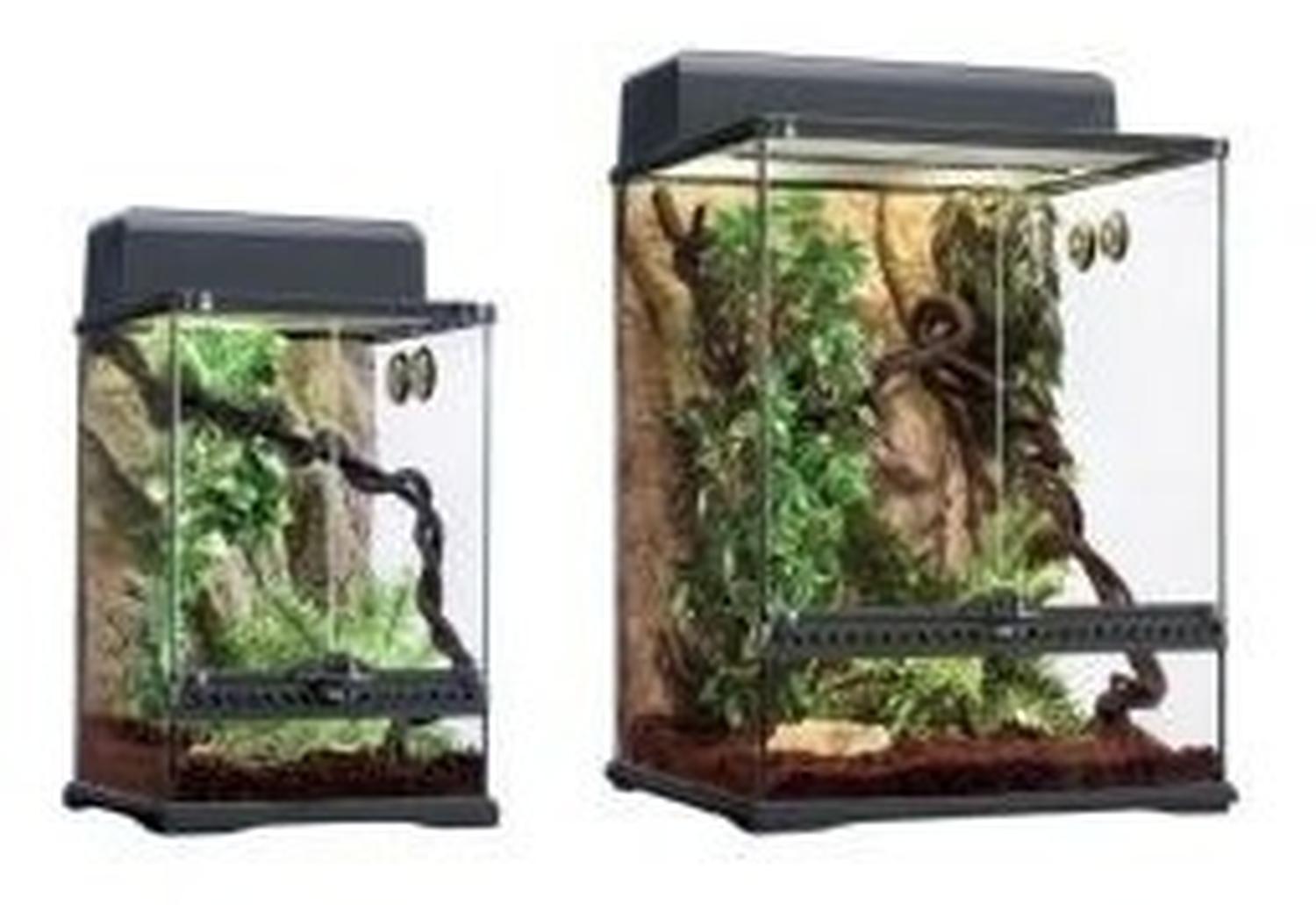 Exo-terra Terrario grande selvatico Anolis | G.Valkyria - imagen 3