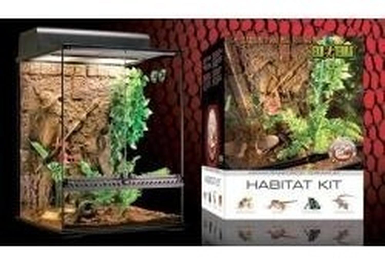 Exo-terra Terrario grande selvatico Anolis | G.Valkyria - imagen 4