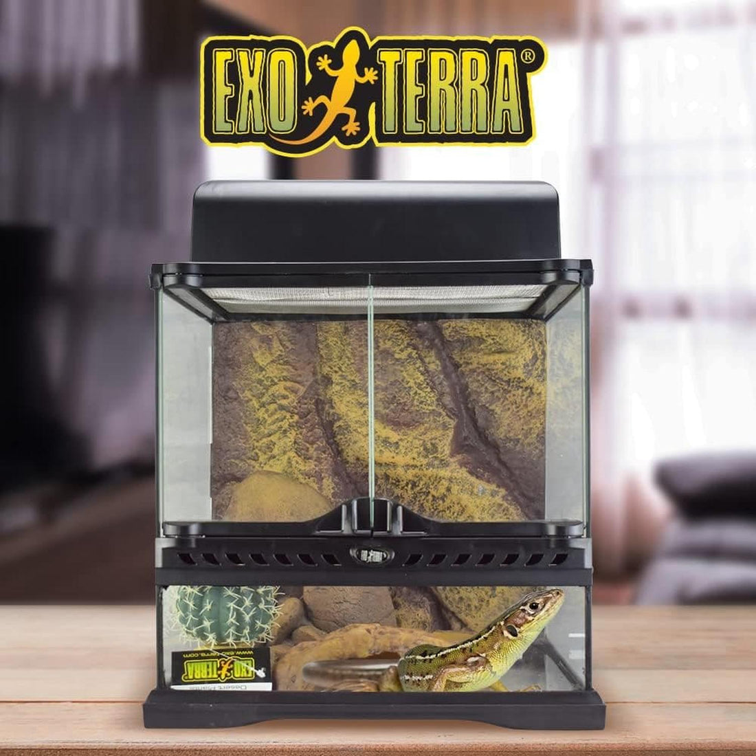 Terrario vidrio Exo-Terra desierto equipado gecko 30x30x30 | G.Valkyria - imagen 1