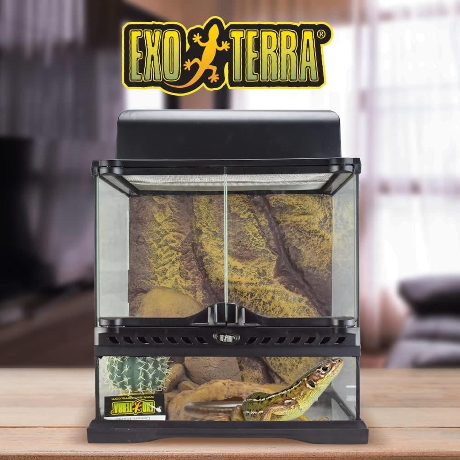 Terrario vidrio Exo-Terra desierto equipado gecko 30x30x30 | G.Valkyria - imagen 2