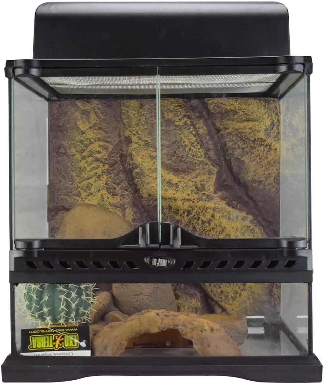 Terrario vidrio Exo-Terra desierto equipado gecko 30x30x30 | G.Valkyria - imagen 4