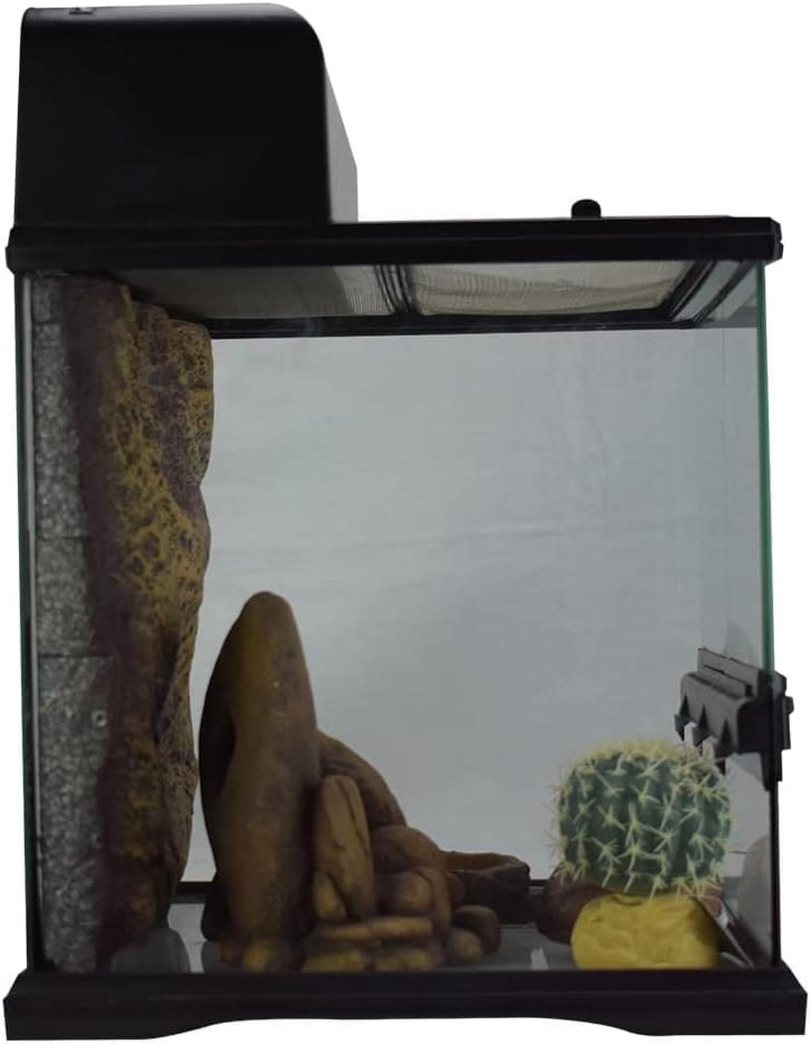 Terrario vidrio Exo-Terra desierto equipado gecko 30x30x30 | G.Valkyria - imagen 6