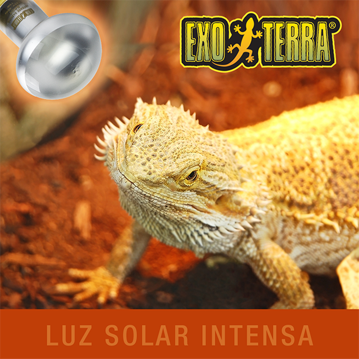 Exo Terra foco para terrario reptiles Sun Glo Tight Beam 75w