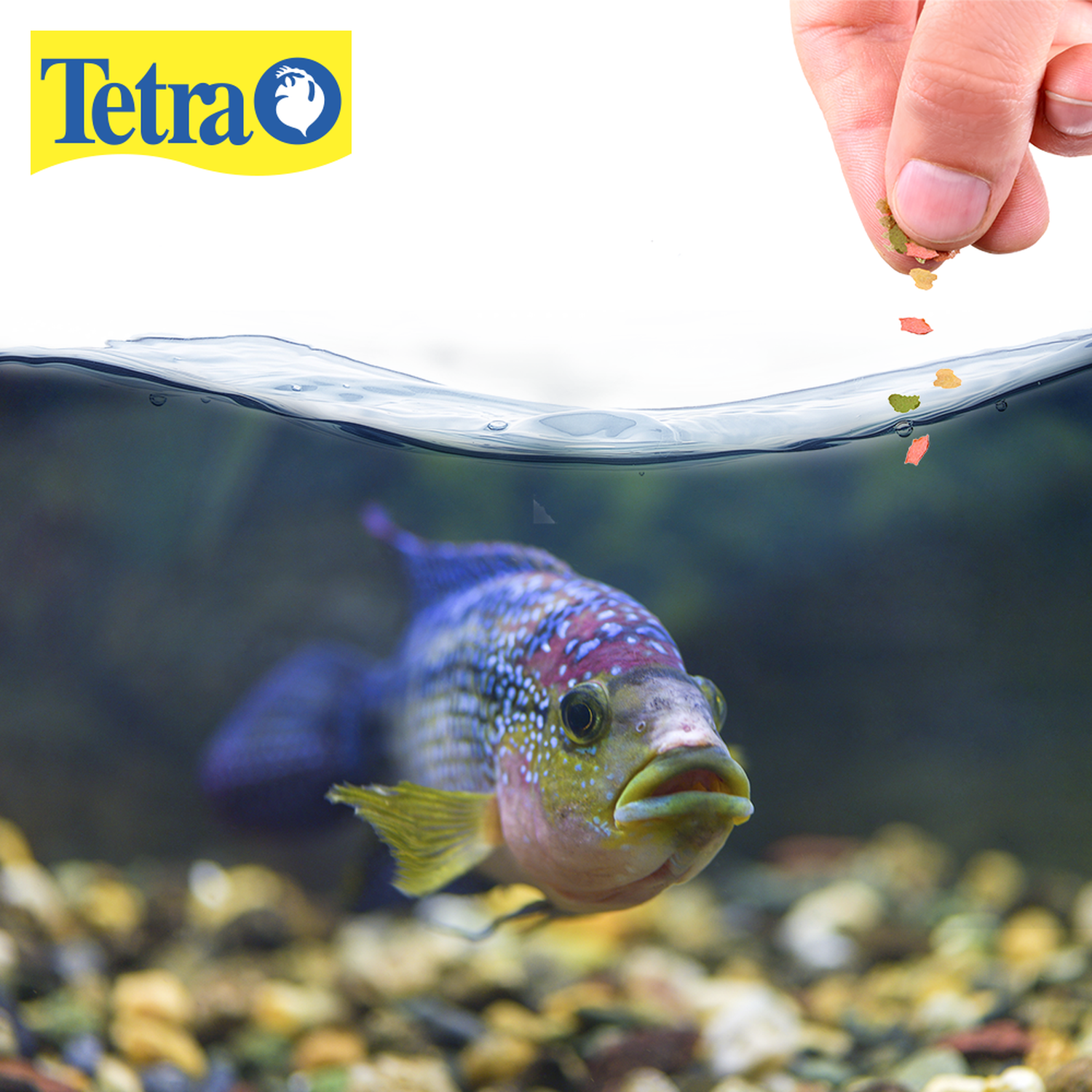 Tetra tetramin select-a-food 68g hojuela pellet y camarón