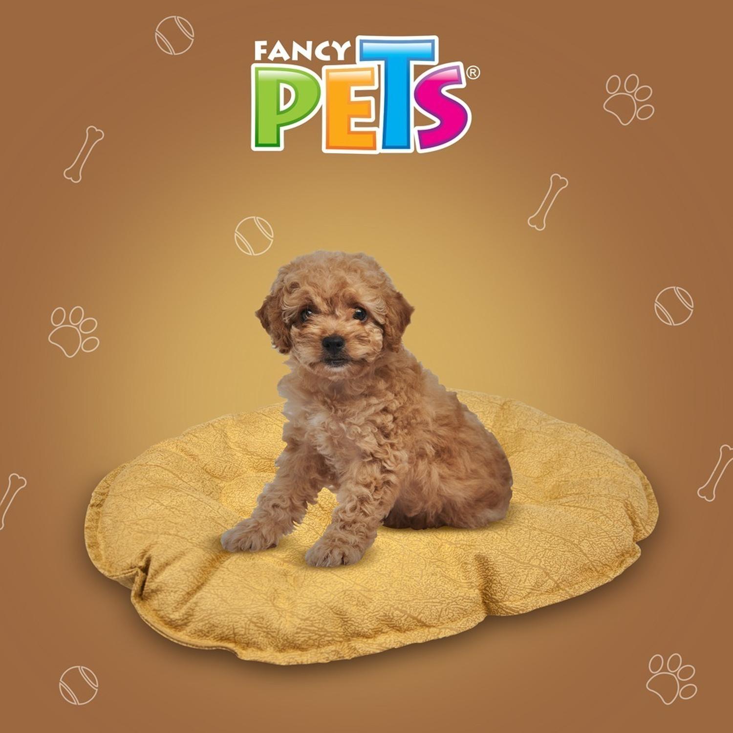 Fancy Pets Cojín Para Cama De Plástico Mediana para perros | G.Valkyria - imagen 5