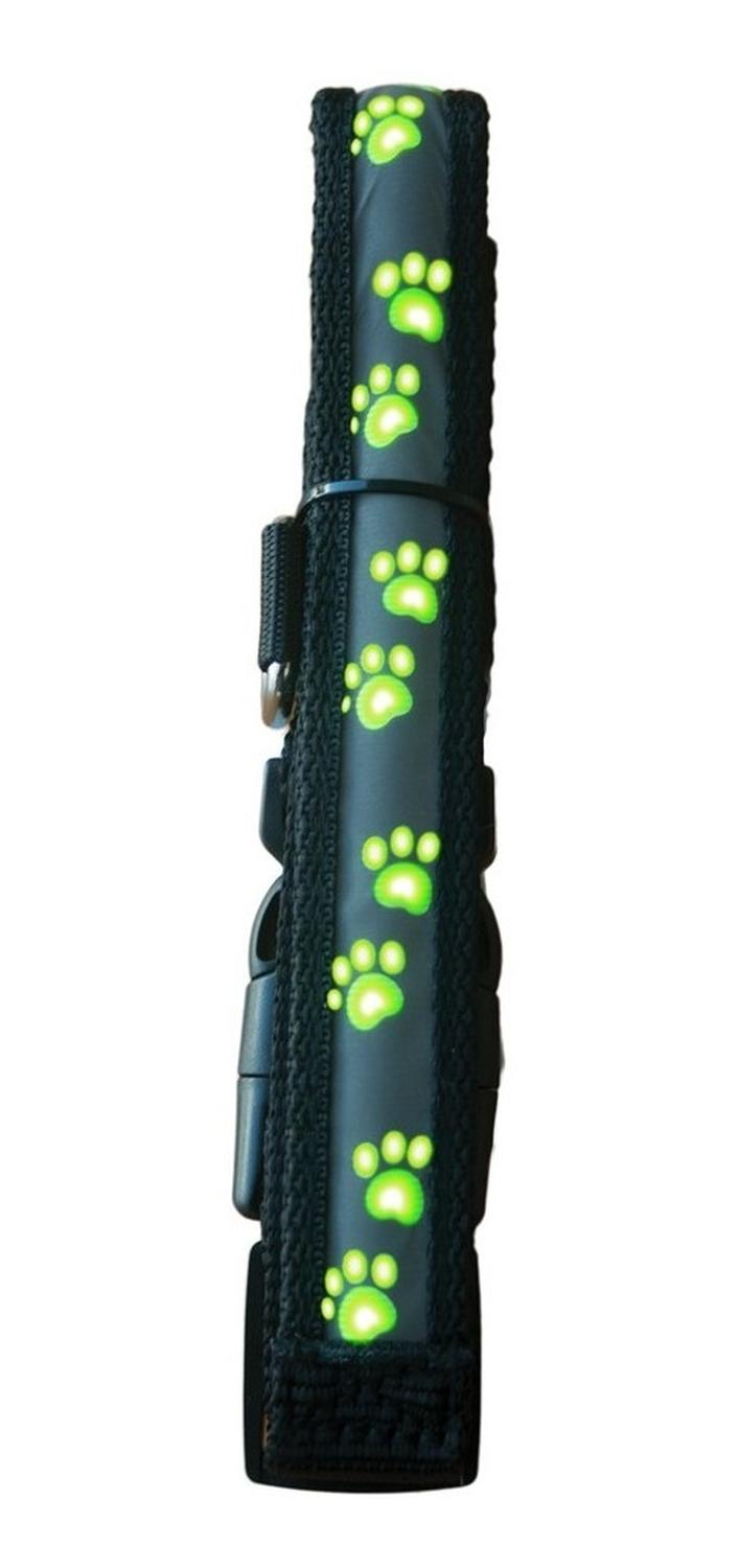 Collar Para Perro Led Diseño Huellas Ch Bateria Reemplazable de Fancy Pets | G.Valkyria - imagen 1
