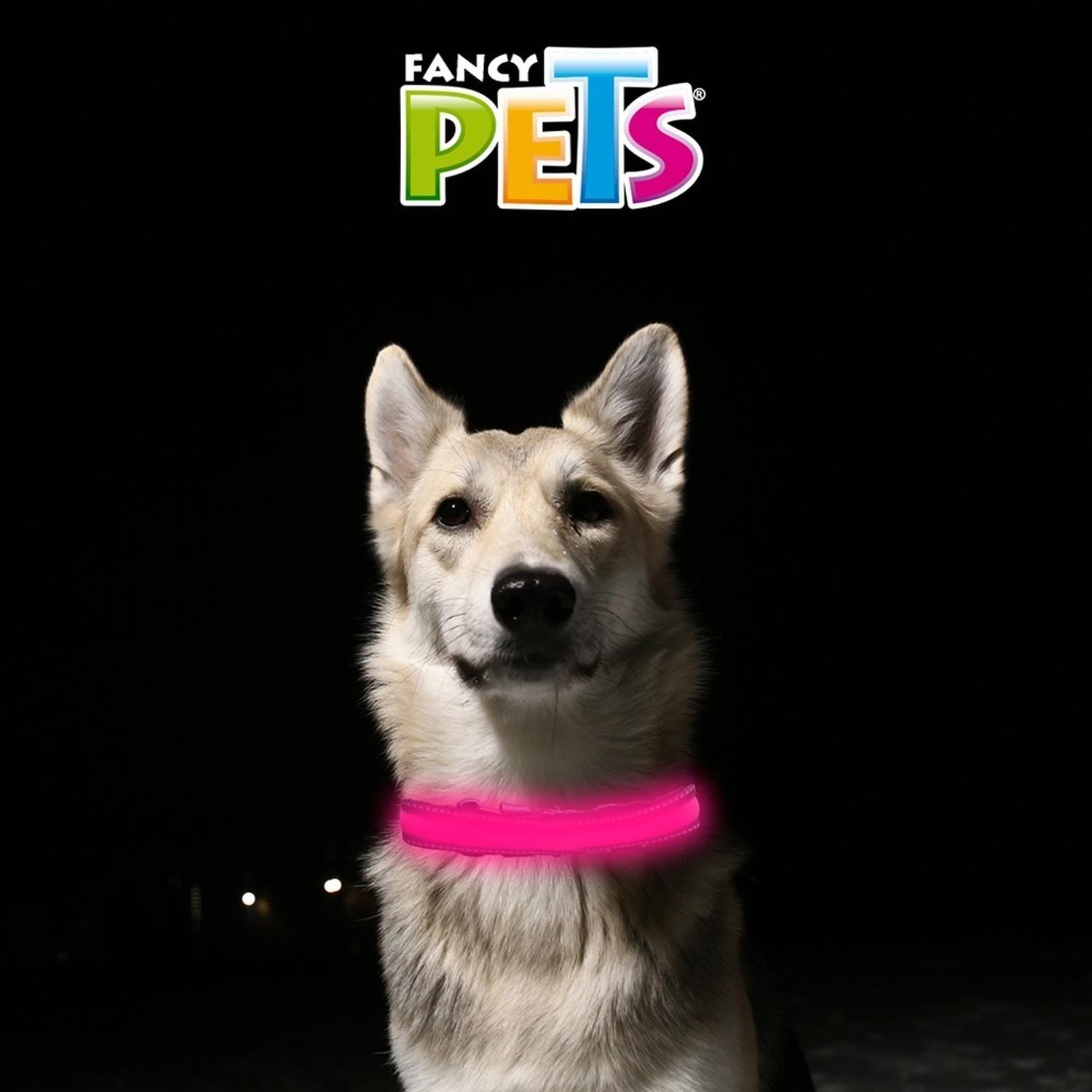 Collar Para Perro Led Reflejante Gde bateria Reemplazable de Fancy Pets | G.Valkyria - imagen 3