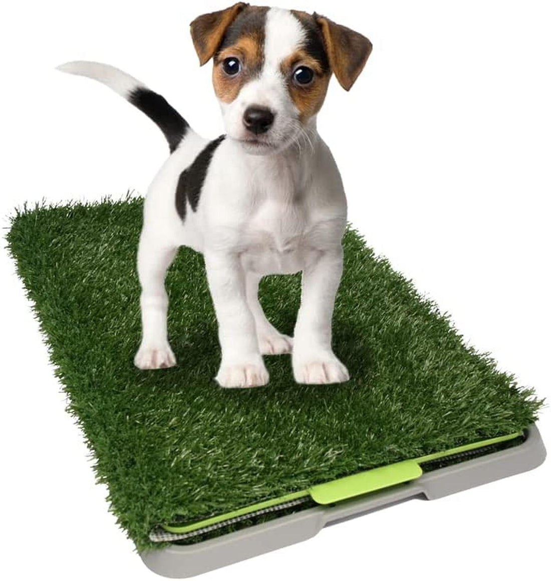Doggie Grass Tapete Entrenador Pasto Sintetico perro chico de Fancy Pets | G.Valkyria - imagen 1