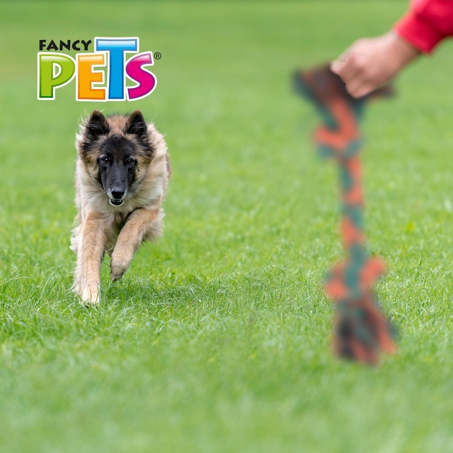 Hueso De Hilo Colores Surtidos 30 Cm Para Perros de Fancy Pets | G.Valkyria - imagen 3