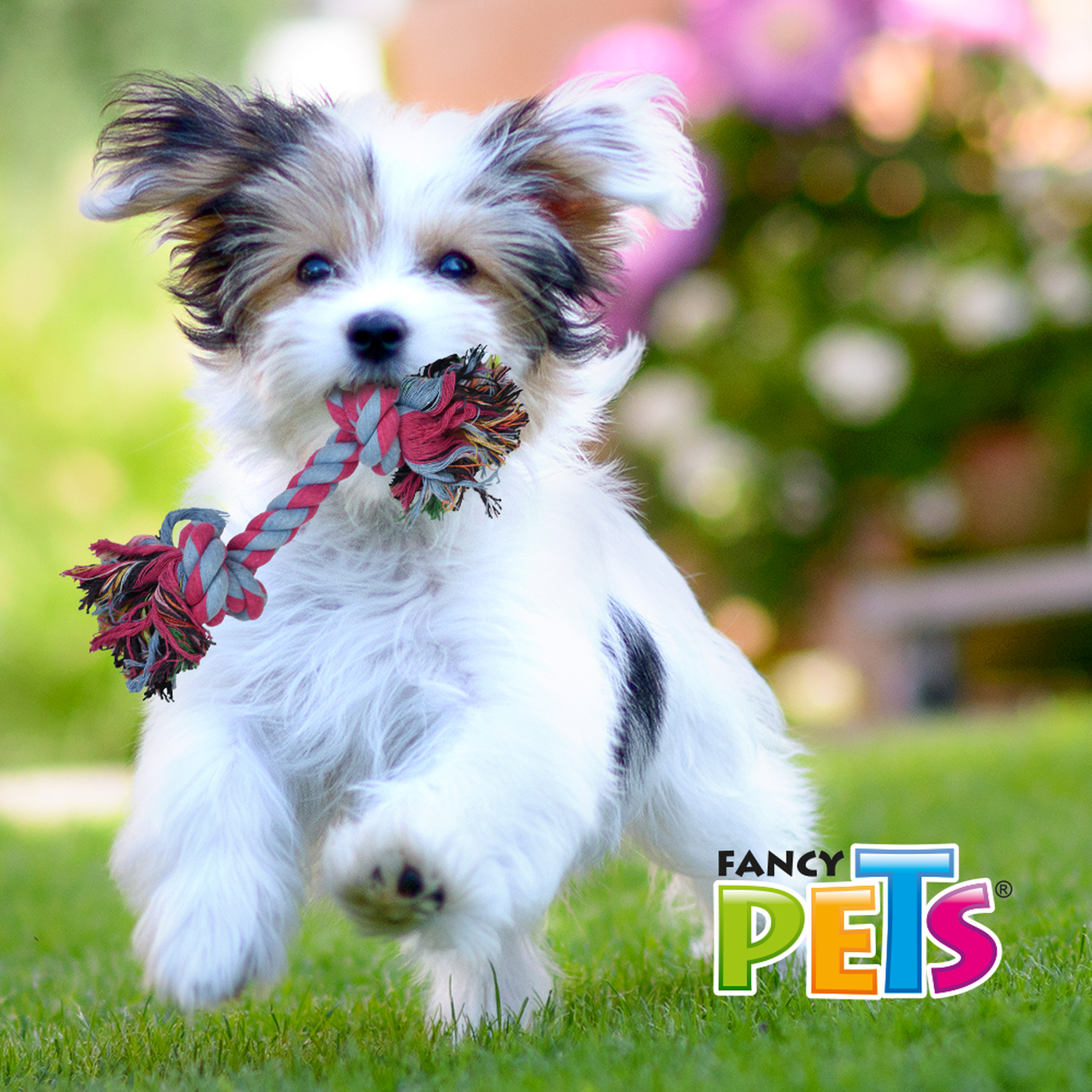Juguete Hueso De Hilo Colores Surtidos 25 Cm Para Perros de Fancy Pets | G.Valkyria - imagen 3