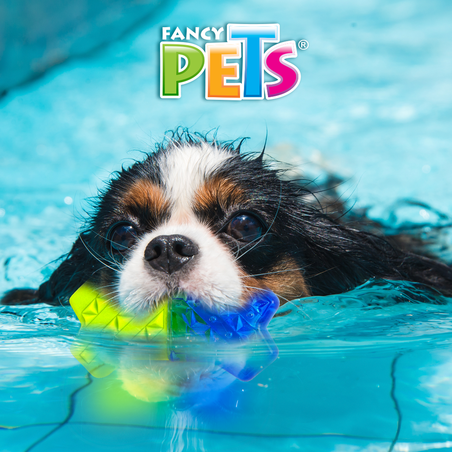 Juguete refrescante perro clima caliente congelable hueso de Fancy Pets | G.Valkyria - imagen 4
