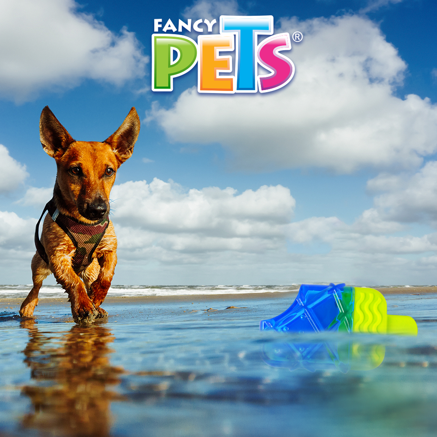 Juguete refrescante perro clima caliente congelable paleta cool de Fancy Pets | G.Valkyria - imagen 4