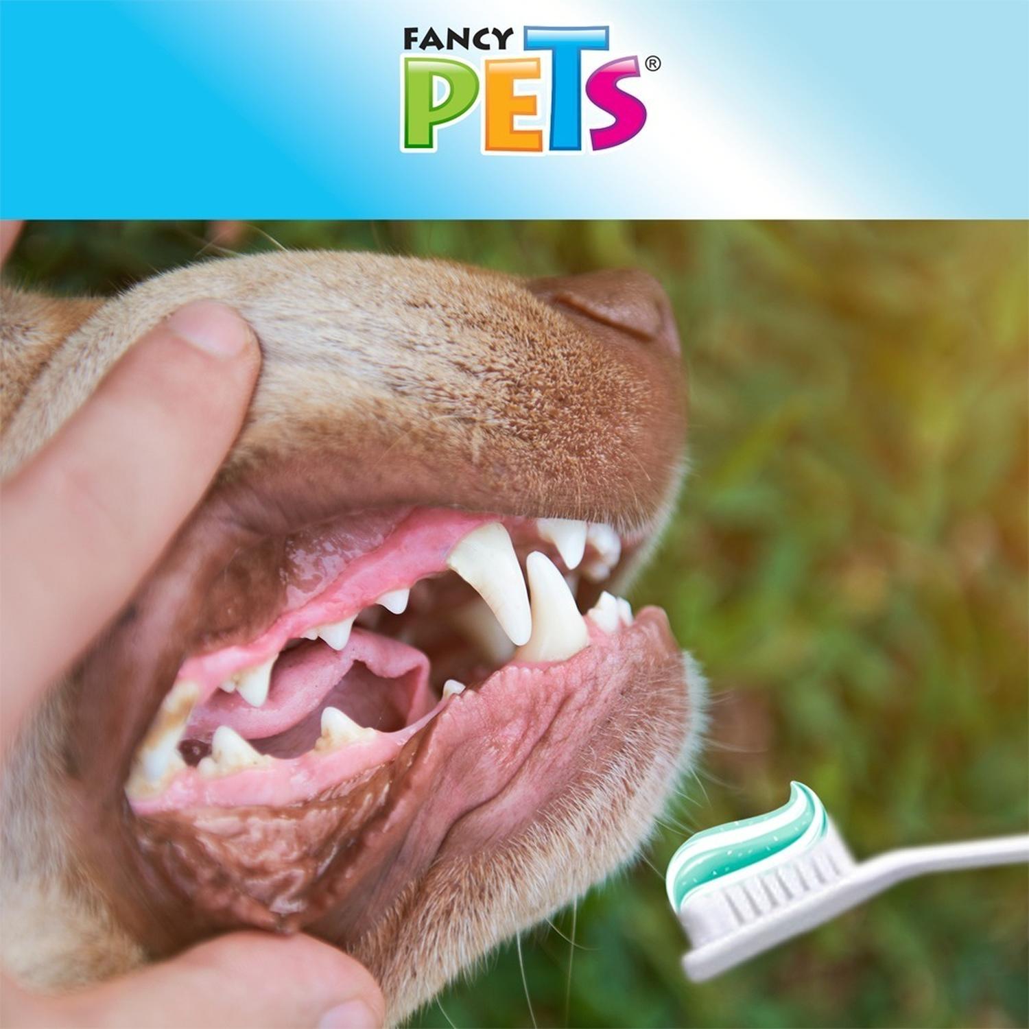 Kit Dental Pasta Y Cepillo Para Perros De Todas Las Edades de Fancy Pets | G.Valkyria - imagen 3