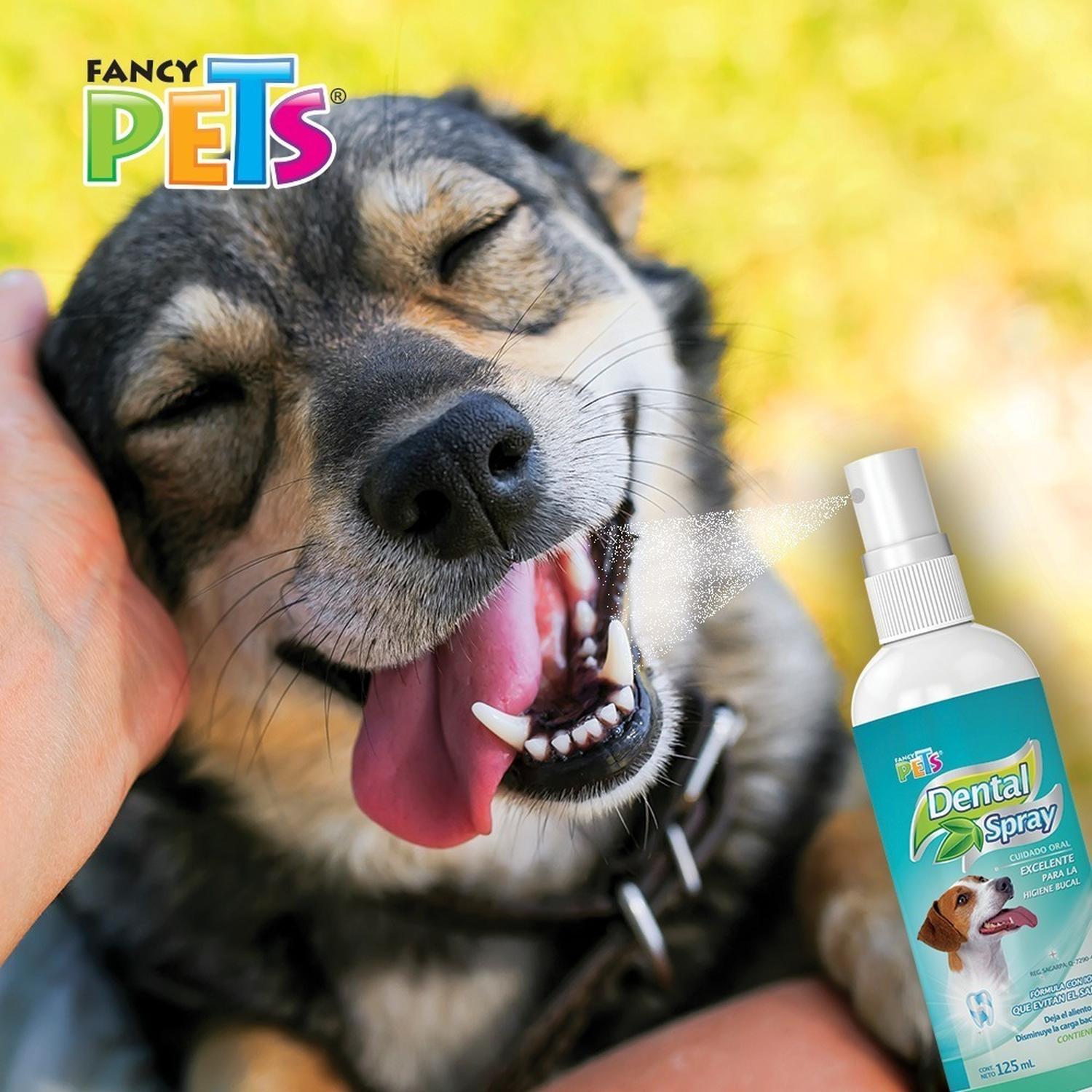 Fancy Pets Spray Dental Perros antisarro y bacterias 125 Ml | G.Valkyria - imagen 2