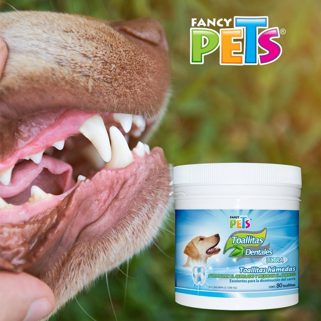 Fancy Pets Toallas Dentales Para Perros disminuye sarro | G.Valkyria - imagen 1