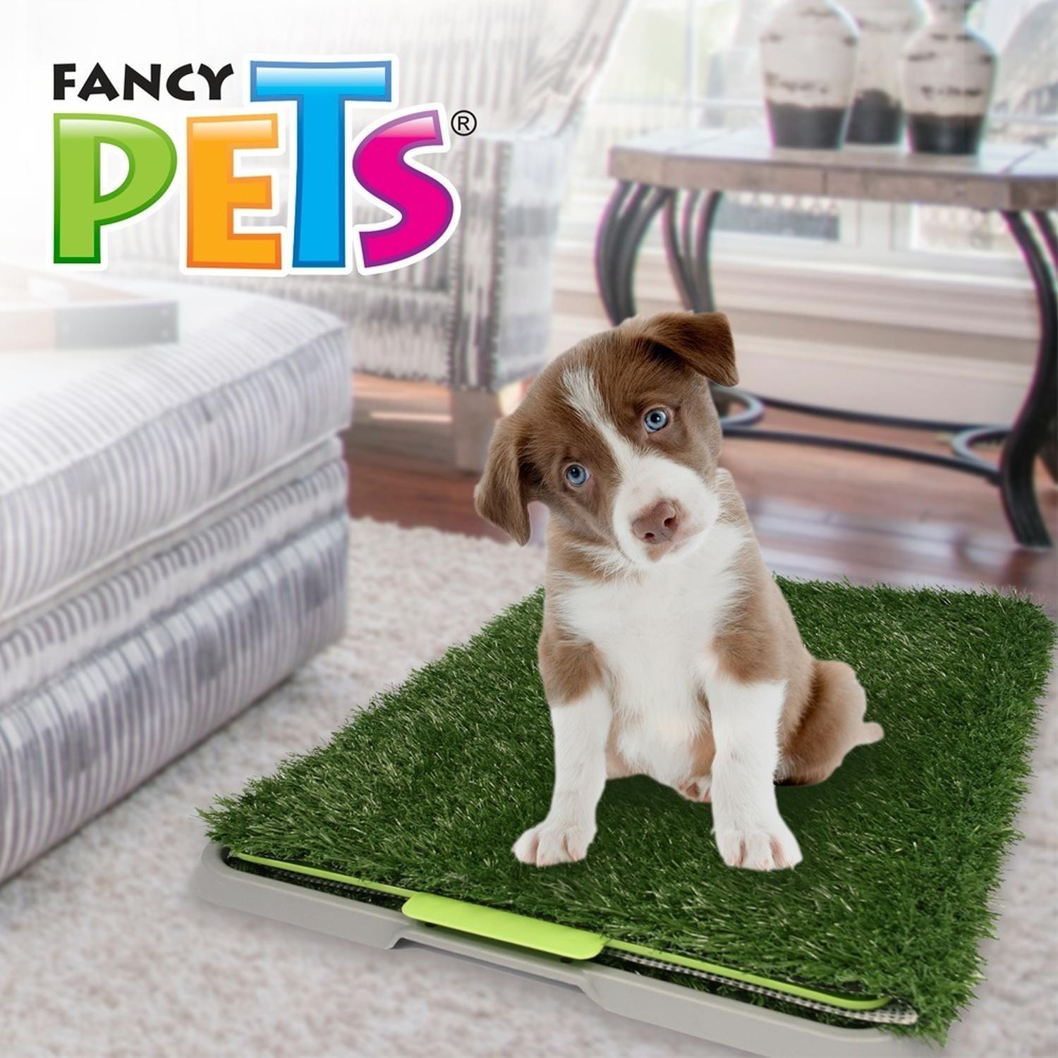 Doggie Grass Tapete Entrenador Pasto Sintetico perro chico