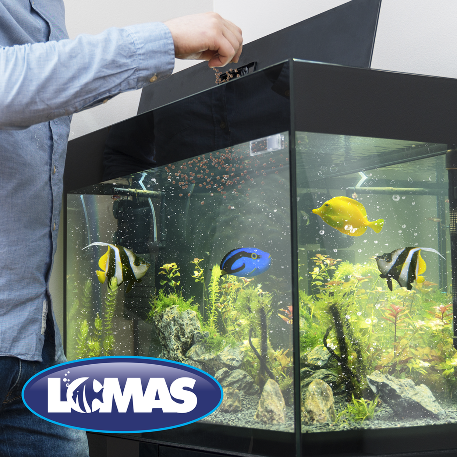 Lomas garlic marine fish food 140g increases immunity