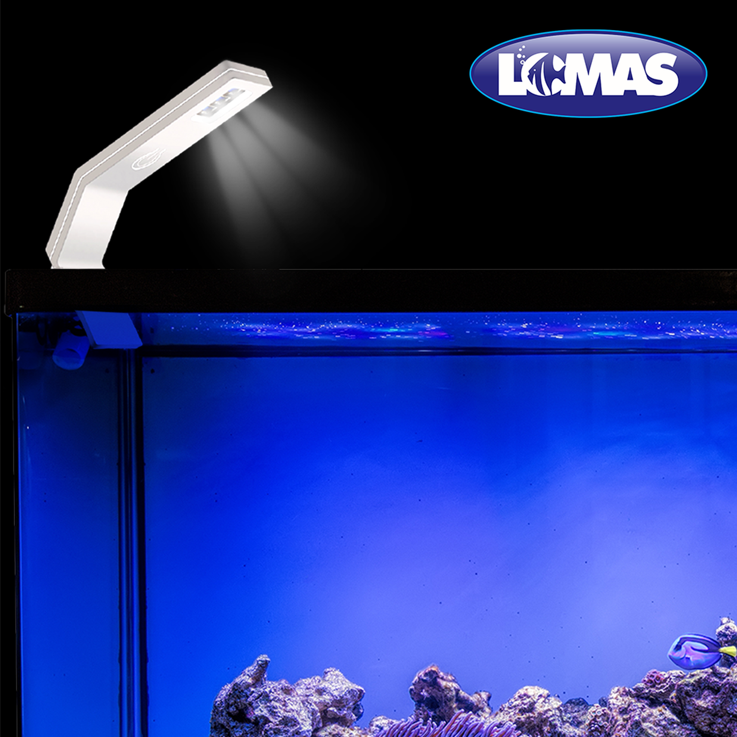 Lomas lampara led nano de 1.5 w peceras minis y nanos negra