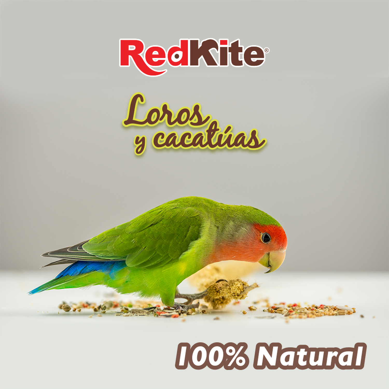 Redkite alimento balanceado Loros Y Cacatuas 500 grs