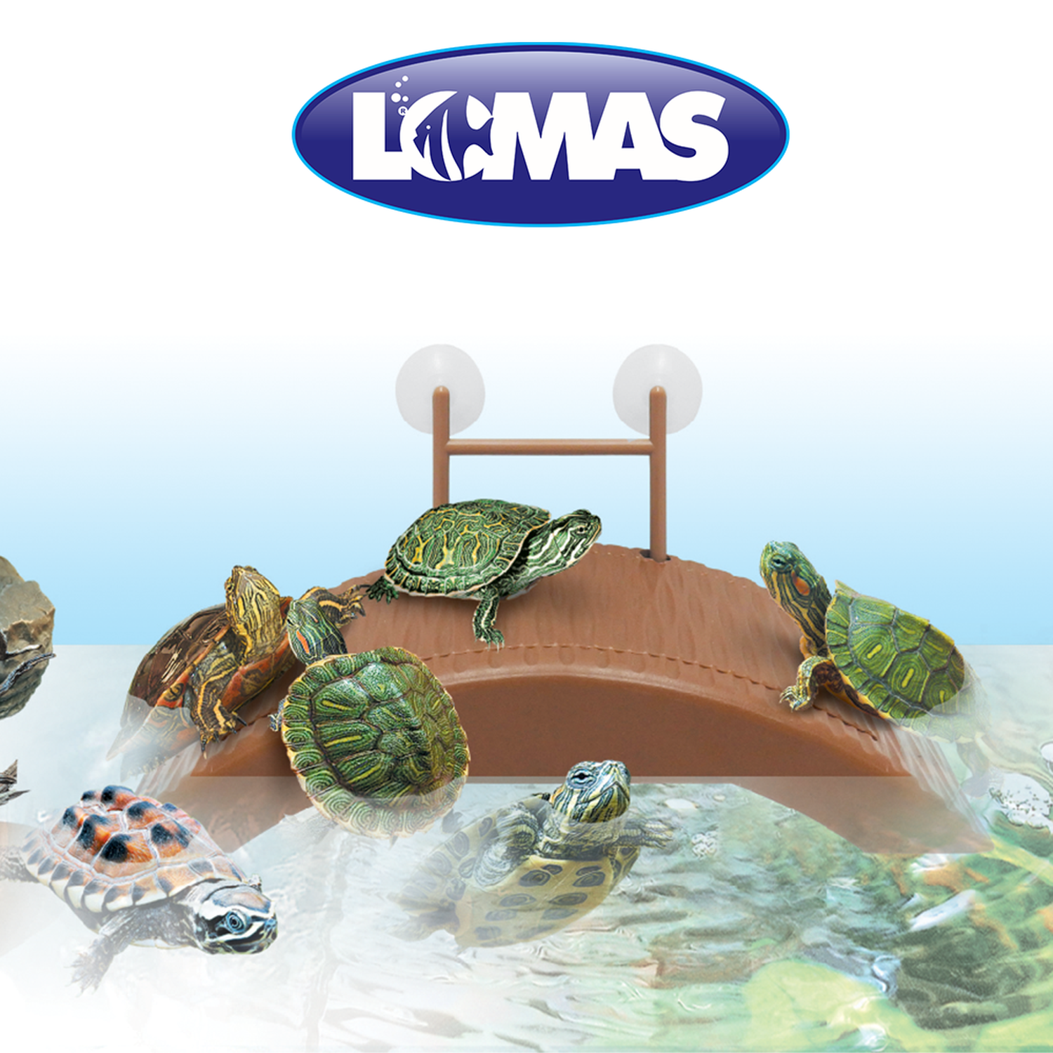 Lomas muelle flotante para tortugas pequeñas 21cms con ventosa