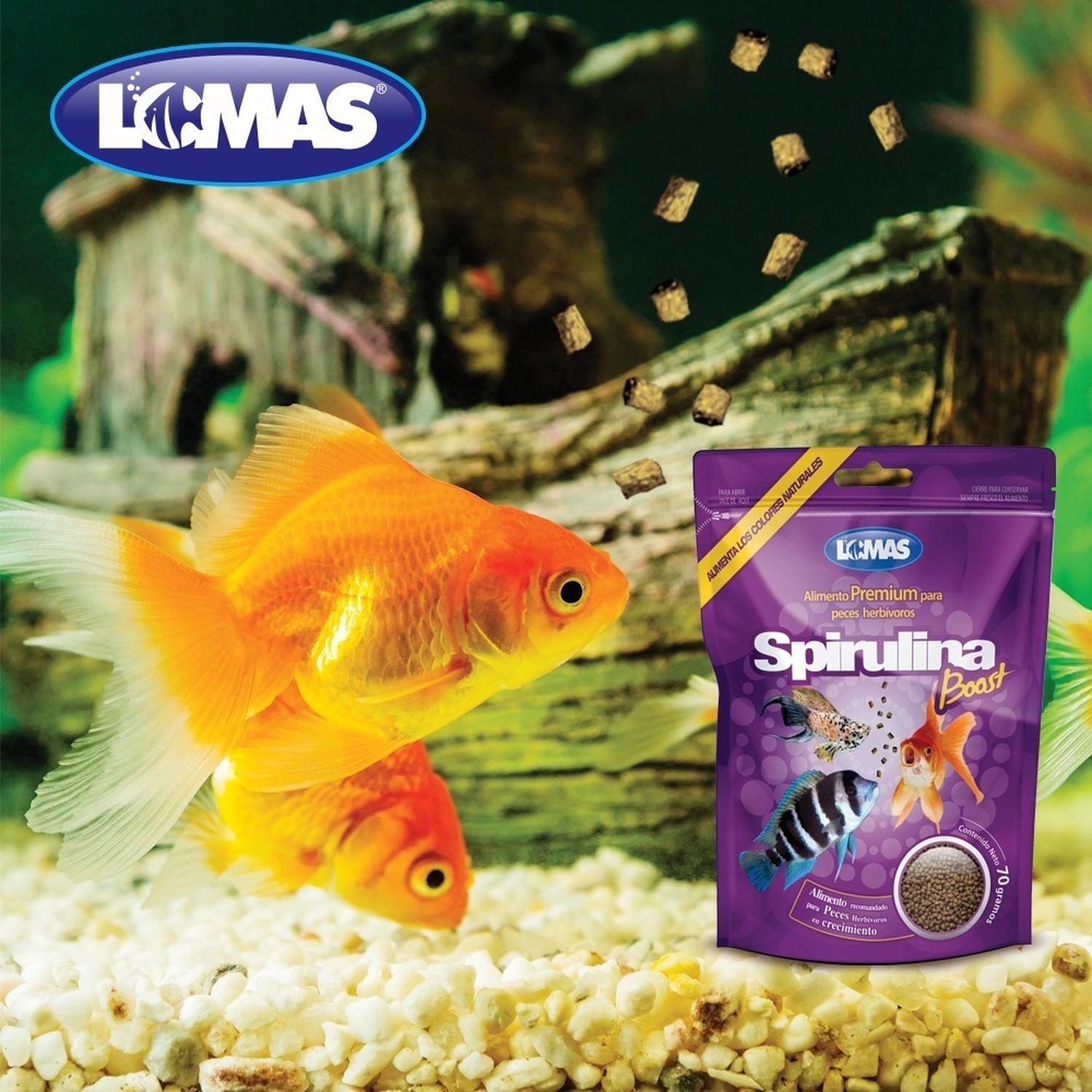 Alimento peces spirulina boost 70g molies platties espadas