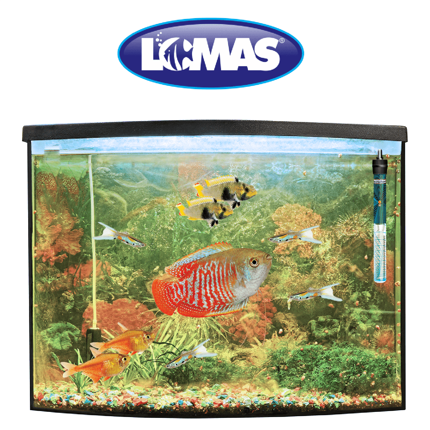 Lomas Calentador peceras acuario Termostato Thermo-Jet 75 W