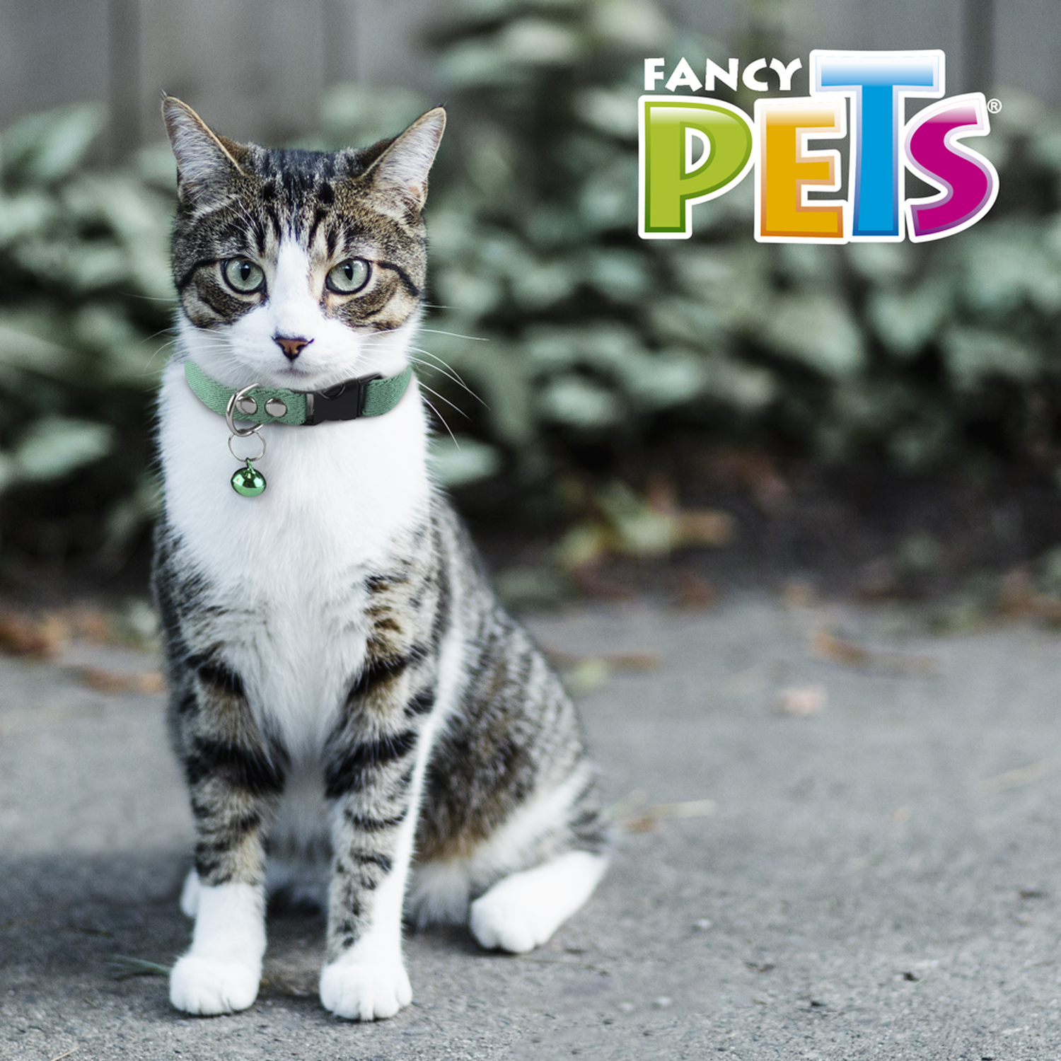 Cat collar with expandable elastic bell 25 cm