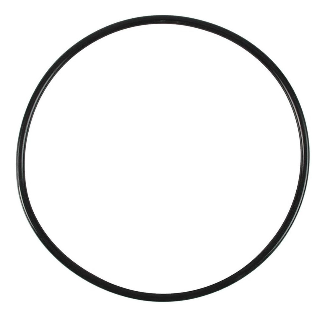 Repuesto Fluval Empaque Circular Motor Fluval 307 407 a20064 | G.Valkyria - imagen 1