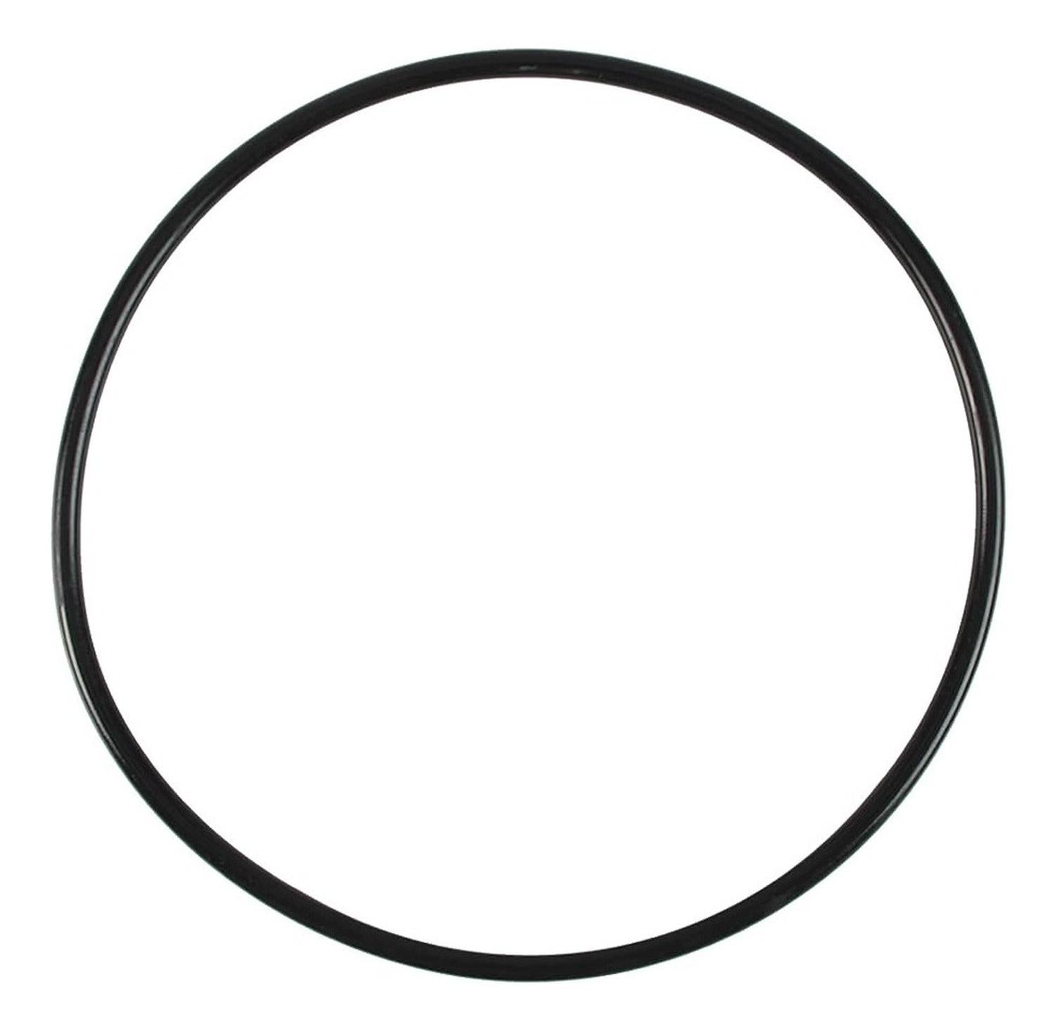 Repuesto Fluval Empaque Circular Motor Fluval 307 407 a20064 | G.Valkyria - imagen 1