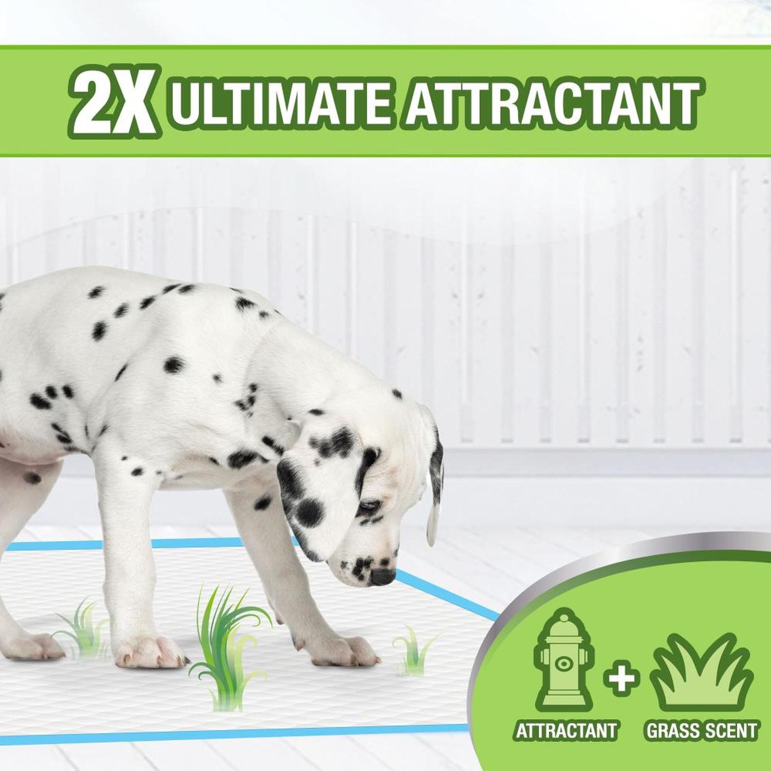 Tapete entrenador Wee-Wee Pads perro Esencia a Pasto 55x58 10 pzas de Four Paws | G.Valkyria - imagen 2