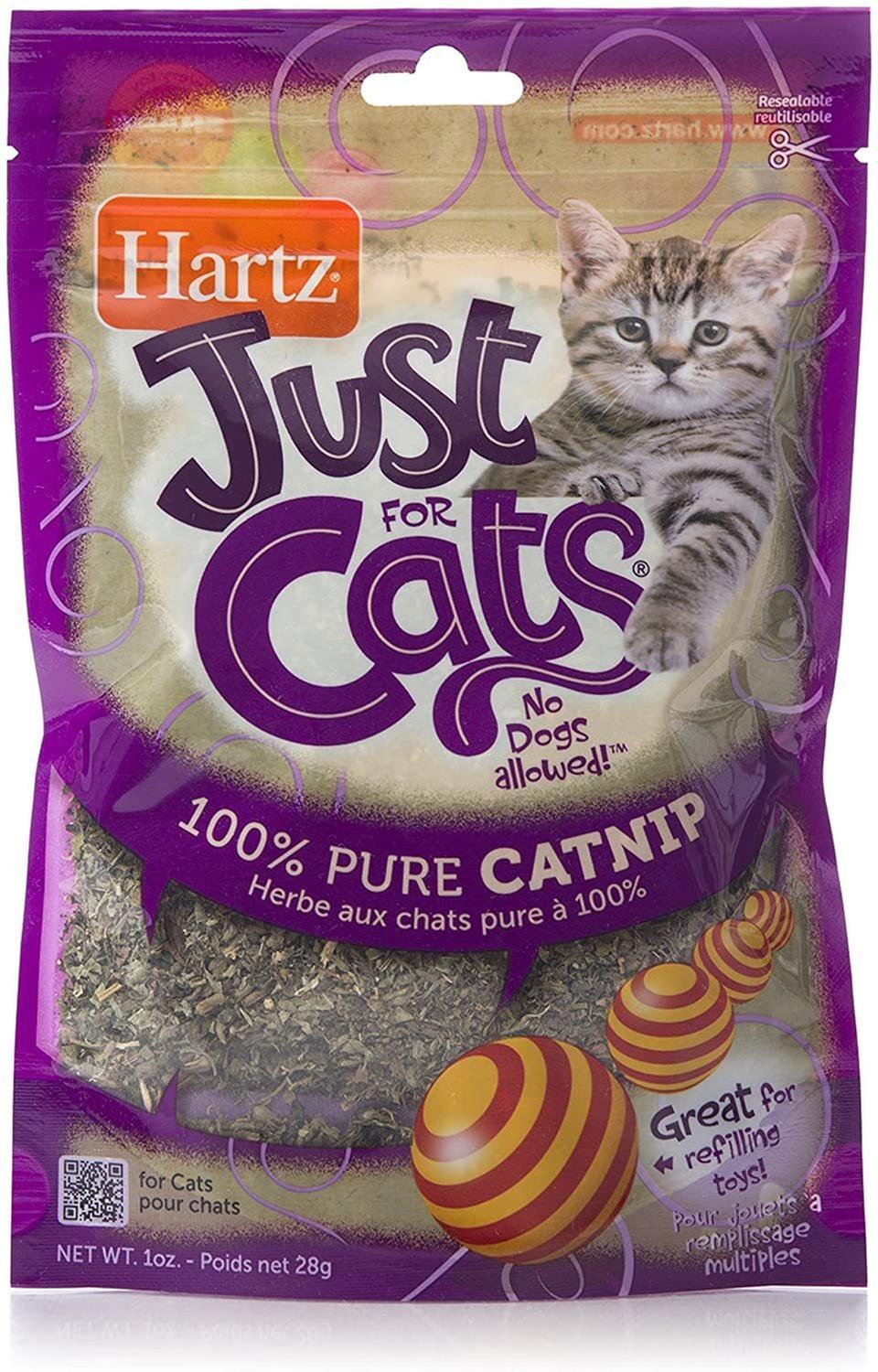 Hartz Atrayante Para Gatos Catnip O Hierba Gatuna 100% pura | G.Valkyria - imagen 1