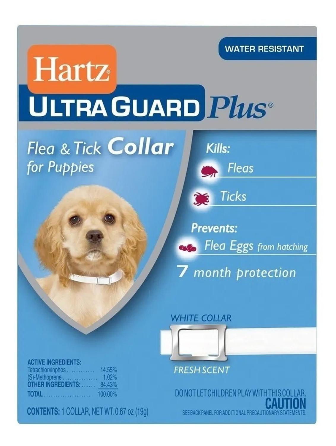 Collar Antipulgas Cachorro Elimina Pulgas Y Garrapatas de Hartz | G.Valkyria