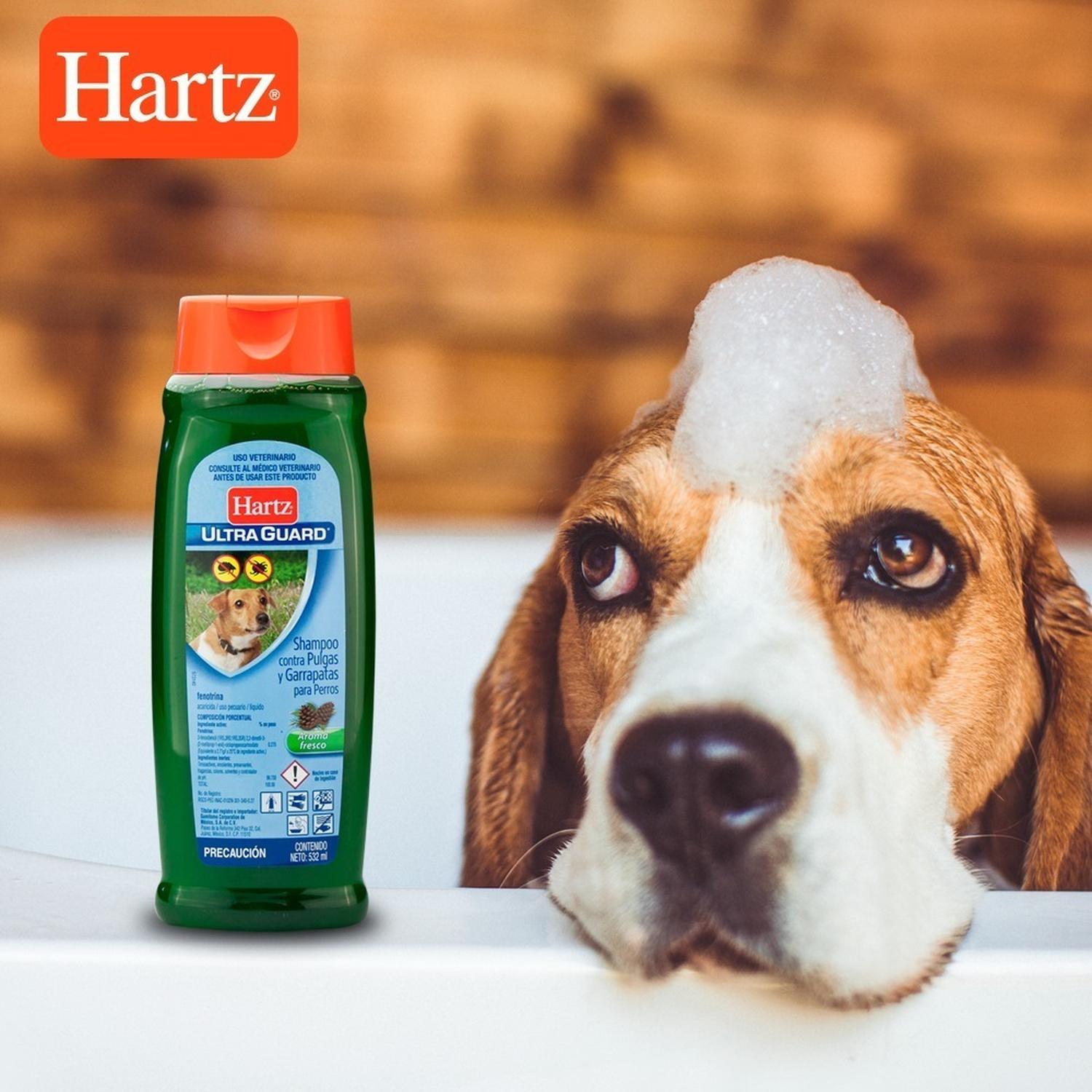 Shampoo Para Perros Antipulgas Dos En Uno Hartz | G.Valkyria - imagen 4