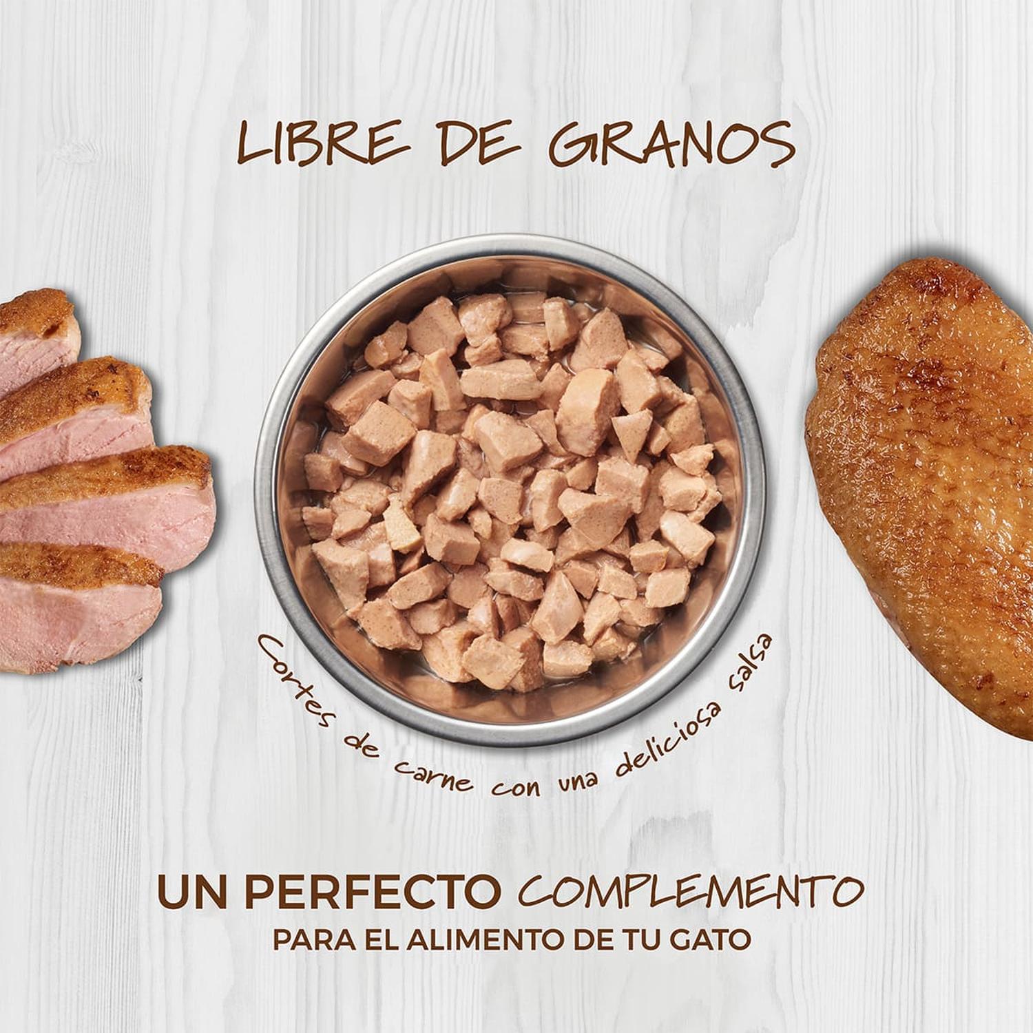 Instinct Alimento Húmedo Healthy Cravings Salmon gato 24pzs | G.Valkyria - imagen 4