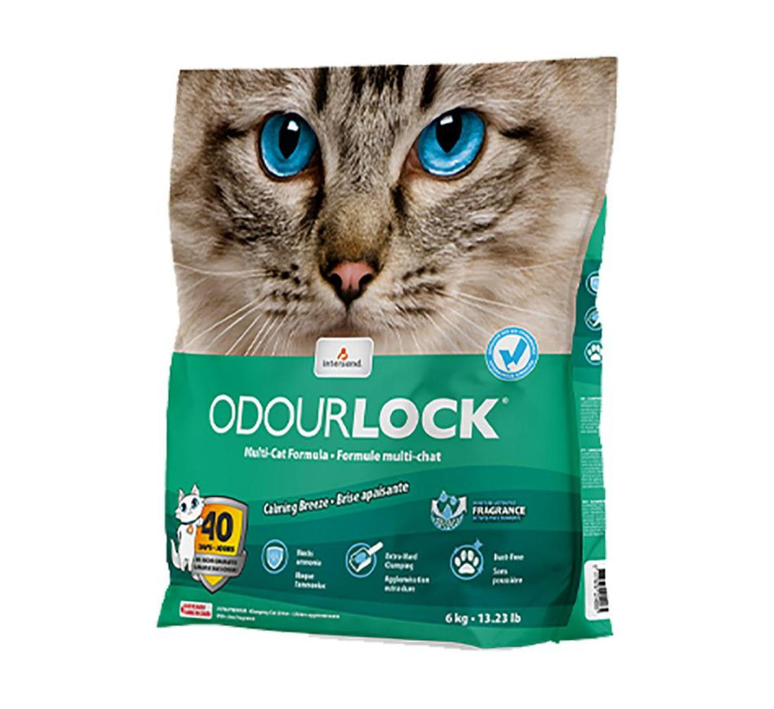 Intersand Arena gato aglutinante arcilla brisa Odor Lock 6kg | G.Valkyria - imagen 1