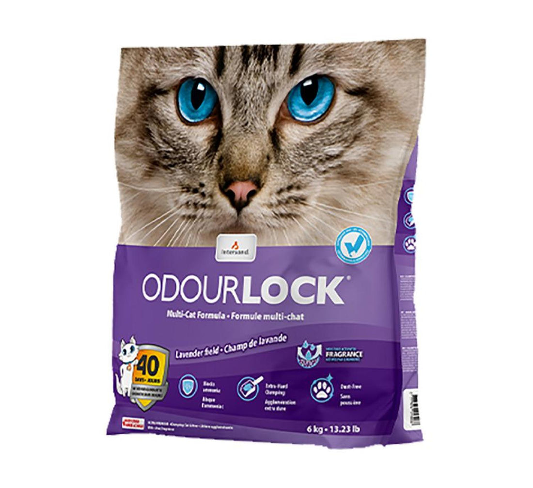 Intersand Arena gato aglutinante arcilla lavanda Odor Lock 6kg | G.Valkyria - imagen 1