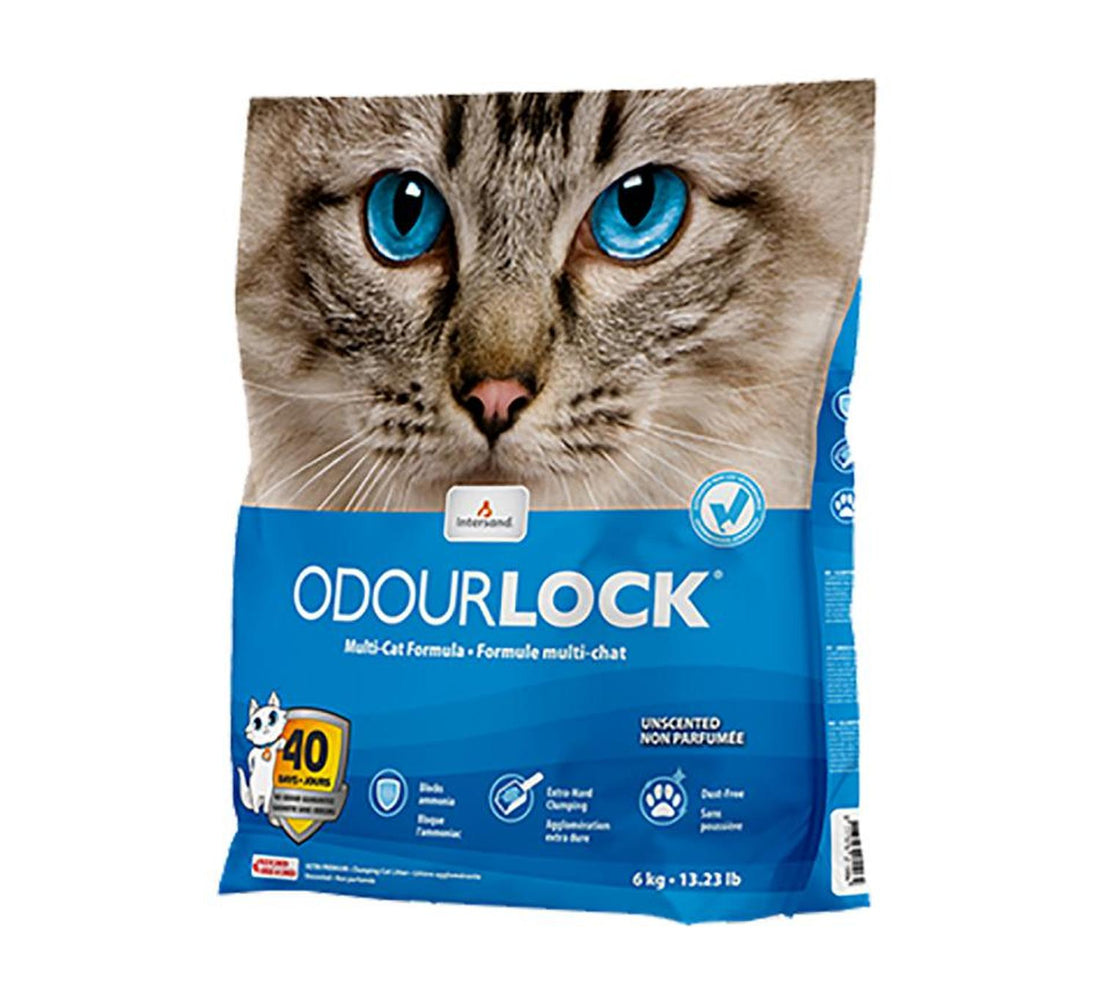 Intersand Arena gato aglutinante arcilla Odor Lock 6kg | G.Valkyria - imagen 1