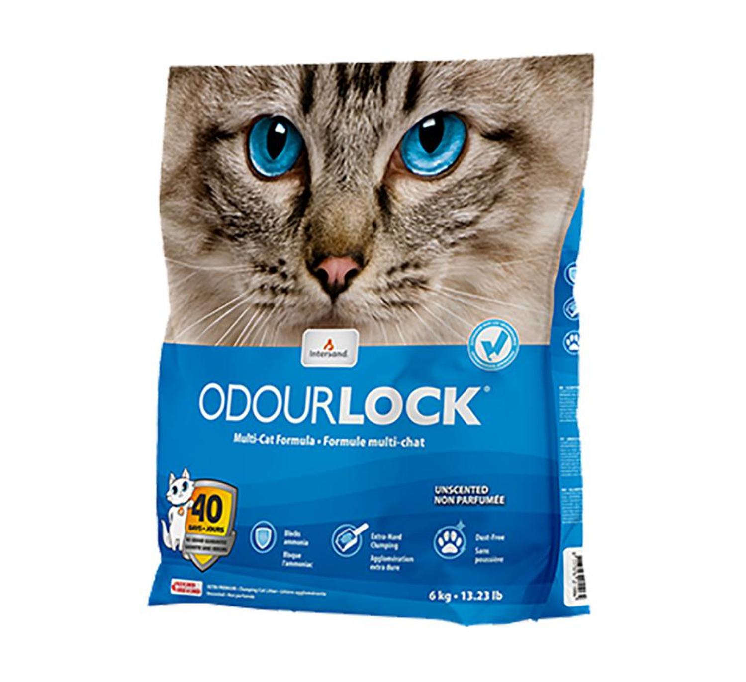 Intersand Arena gato aglutinante arcilla Odor Lock 6kg | G.Valkyria - imagen 2